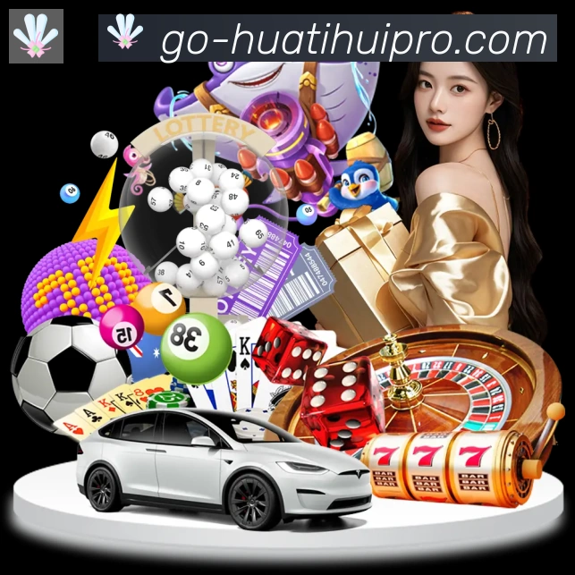 登录器